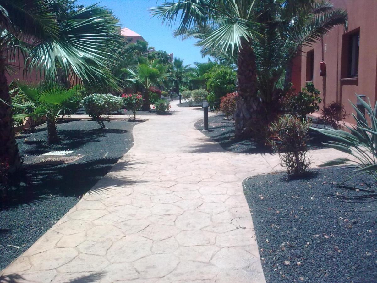 Tamarindo I Piscinas De Agua Salada Leilighet Corralejo Eksteriør bilde