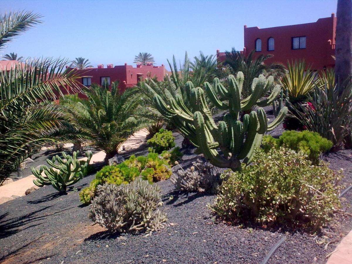Tamarindo I Piscinas De Agua Salada Leilighet Corralejo Eksteriør bilde