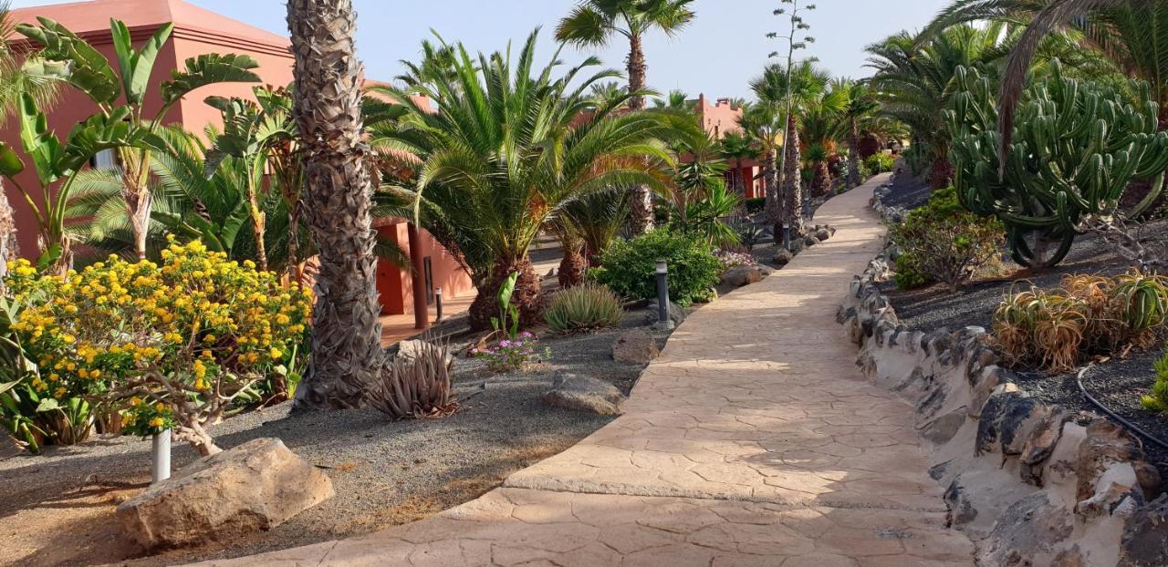 Tamarindo I Piscinas De Agua Salada Leilighet Corralejo Eksteriør bilde