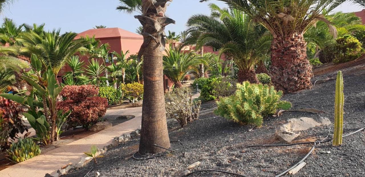 Tamarindo I Piscinas De Agua Salada Leilighet Corralejo Eksteriør bilde
